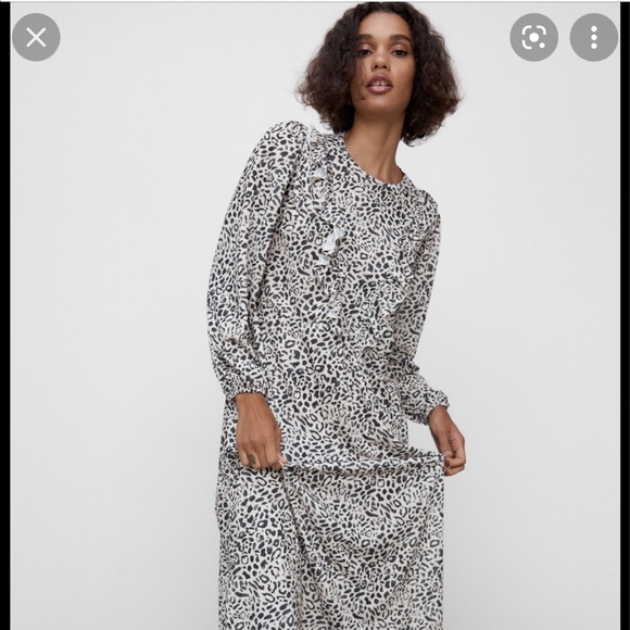 Zara Midi Dress - Picture 4 of 13
